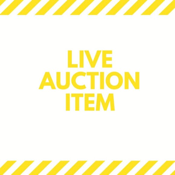 AUCTION ITEM AS SHOWN IN SHOW ITEM 51-99 - Picture 1 of 1